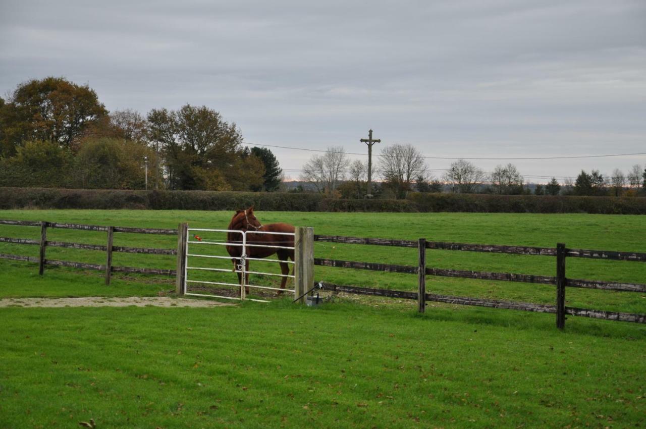 Saint-Michel-de-Livet B&B Haras De La Cour Fleury מראה חיצוני תמונה
