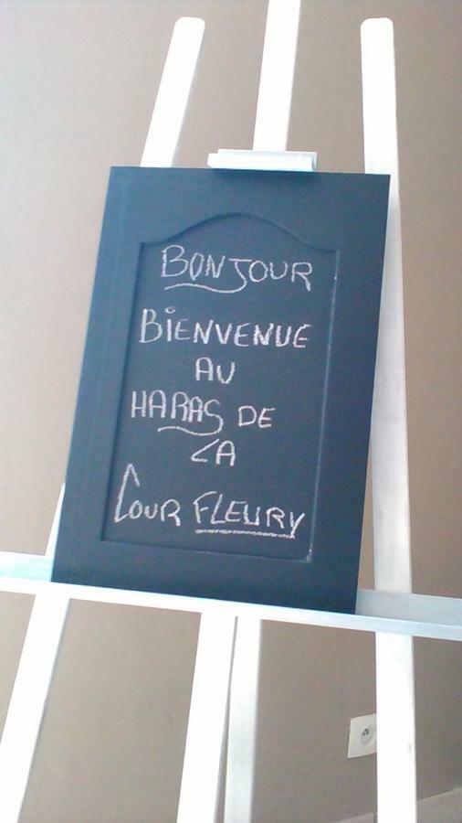 Saint-Michel-de-Livet B&B Haras De La Cour Fleury מראה חיצוני תמונה