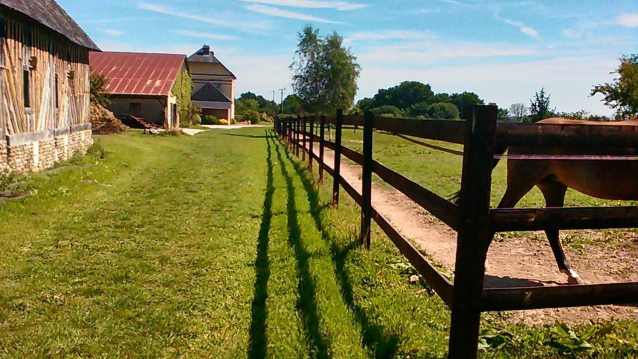 Saint-Michel-de-Livet B&B Haras De La Cour Fleury מראה חיצוני תמונה